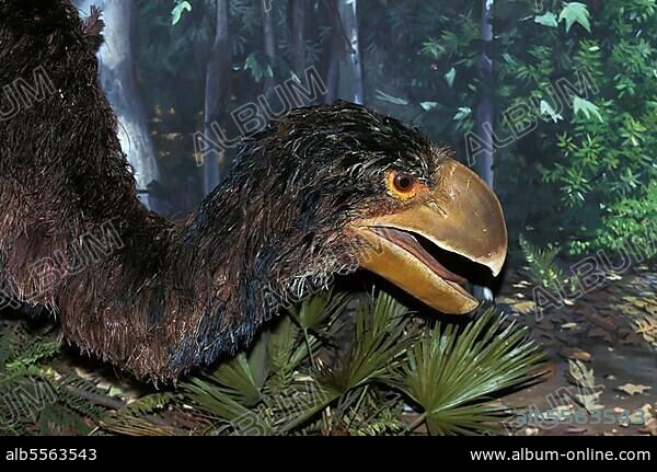 Diatryma, a carnivorous prehistoric bird, lived 50 million years ago.