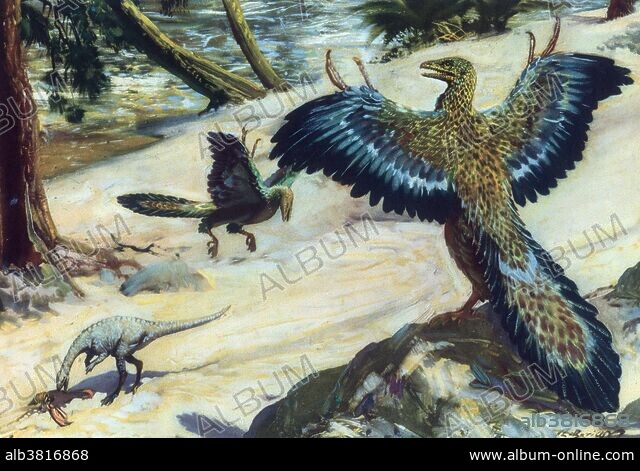 【原画】Archaeopteryx don't know the kimono. 原画】Archaeopteryx don't know the kimono. 原画