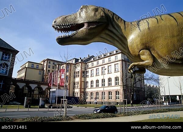 Dinosaurs at the Naturmuseum Natural History Museum, Senckenberg Museum, Frankfurt am Main, Hesse, Germany, Europe.