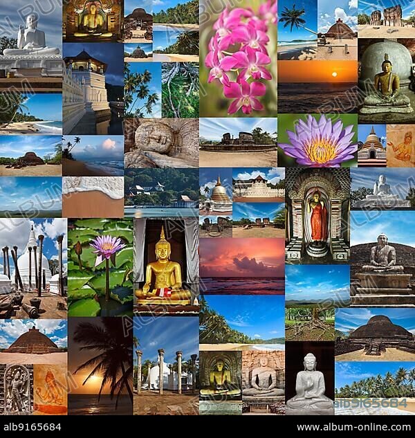 Collage of images of Sri Lanka.