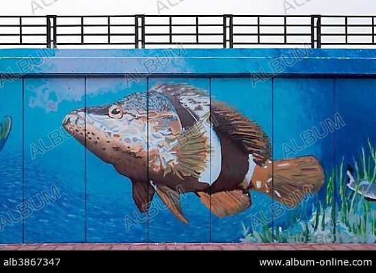 Harbour wall with paintings of marine animals, Los Cristianos, Tenerife, Canary Islands, Spain, Europe.