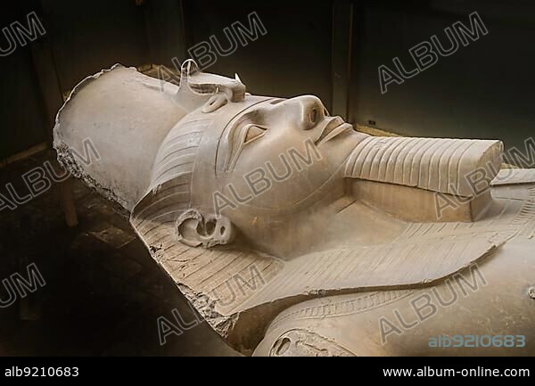 Reclining Colossal Statue of Ramses II, Museum, With Rathina, Memphis, Egypt, Africa.