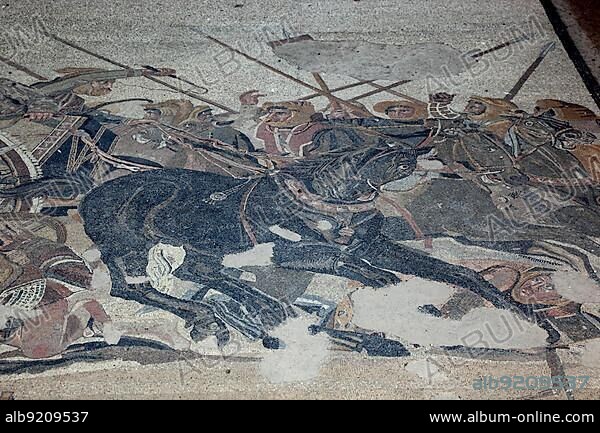 Mosaic floor in a thermal bath, Pompeii, Campania, Italy, Europe.