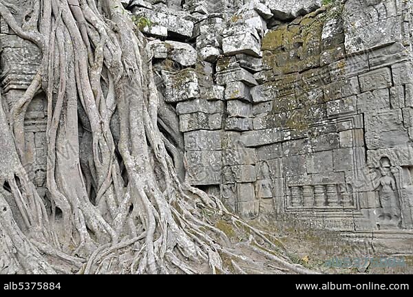 Large fig tree (Ficus altissima), Ta Som, Angkor, Cambodia, Asia.
