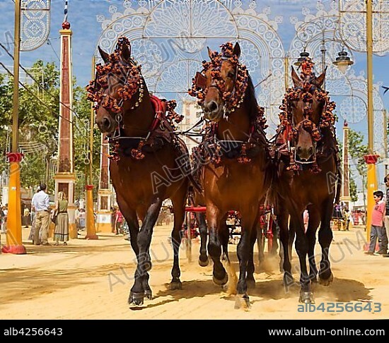 Decorated horses at the Feria del Caballo Horse Fair, Jerez de la Frontera, Cádiz province, Andalusia, Spain, Europe.