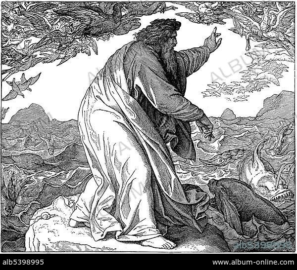 Woodcut, God, the fifth day of creation, God creates the creatures of the sea and the birds, Genesis 1, 21, creation of the world, Old Testament, Catholic Picture-Bible, Friday.