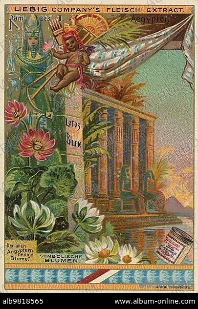 Lotus flower; Ramses II; Egypt; digitally restored reproduction of a public domain collective picture from ca 1900; Liebig picture series Symbolic Flowers (1893); Africa.