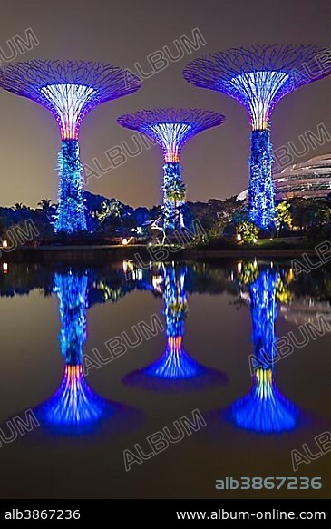 Supertrees, Gardens by the Bay reflecting in the water at night, Singapore, Asia.
