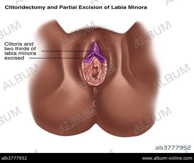 Lyusi lateks bilan porno Meni ogzimga va eshakka sik