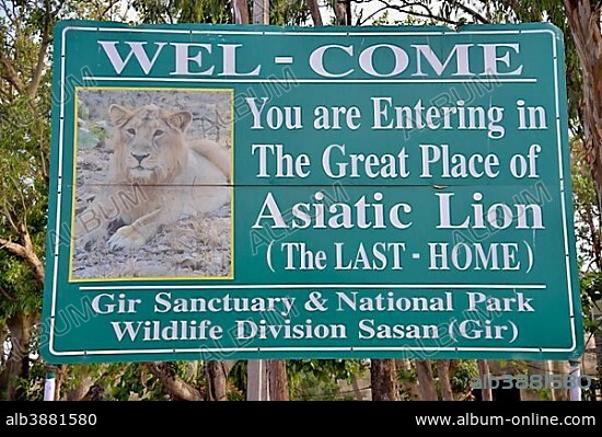 Picture of an Asiatic Lion on a sign at the entrance to the Gir National Park, Gir Forest National Park, Gir Sanctuary, Sasan Gir, Gujarat, India, Asia.