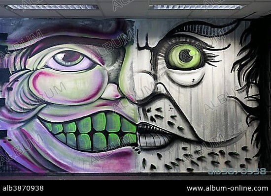 Bizarre face, two different halves of face, graffiti, street art, 40 Grad Urban Art Festival, Dusseldorf, North Rhine-Westphalia, Germany, Europe.