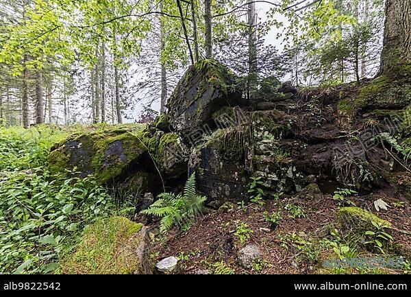 Remains of the ruins of Adolf Hitlers Tannenberg Führer headquarters on Kniebis; the site was blown up after the war; Black Forest; Baiersbronn; Baden-Württemberg; Germany; Europe.