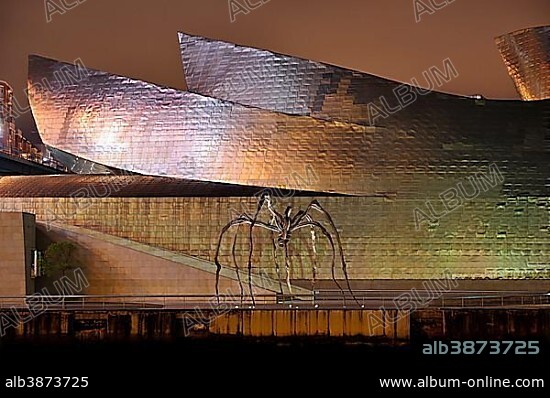 Guggenheim Museum at night, architect Frank Gehry, Bilbao, Basque Country, Spain, Europe.