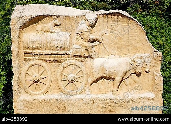 Roman relief of an ox cart, finds at Predigerberg, Augsburg, Swabia, Bavaria, Germany, Europe.