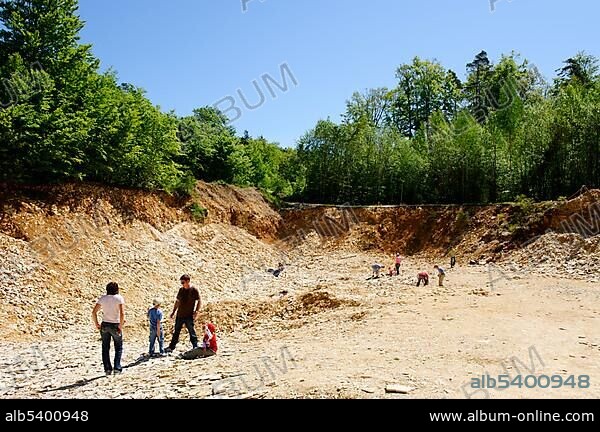 Fossil searching area, limestone quarry for hobby fossil collectors near Solnhofen in the Altmuehl Valley Nature Park, Middle Franconia, Bavaria, Germany, Europe.