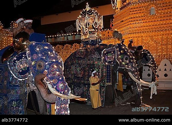 Decorated elephants, Dalada group with sacred elephant Maligawa Raja, carrying Sacred Tooth Relic on back, Buddhist festival Esala Perahera, in front of Sri Dalada Maligawa or Temple of the Sacred Tooth Relic, Kandy, Central Province, Sri Lanka, Asia.