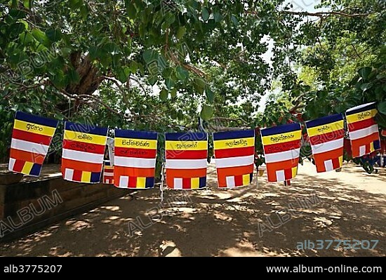 International Buddhist flags, Sacred City of Anuradhapura, North Central Province, Sri Lanka, Asia.