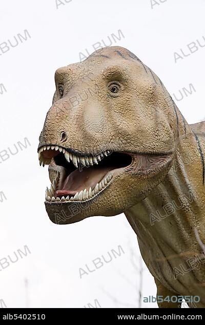 Tyrannosaurus Rex, dinosaur in front of Senckenberg Museum, Frankfurt am Main, Hesse, Germany, Europe.