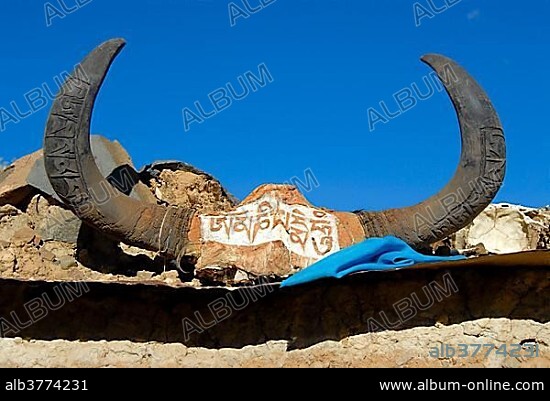 Tibetan Buddhism, horns of a Yak decorated with Tibetan scripture, sacred text, Om Mani Padme Hum, Tashilhunpo monastery, Trashilhuenpo, Shigatse, Himalayas, Tibet Autonomous Region, People's Republic of China, Asia.