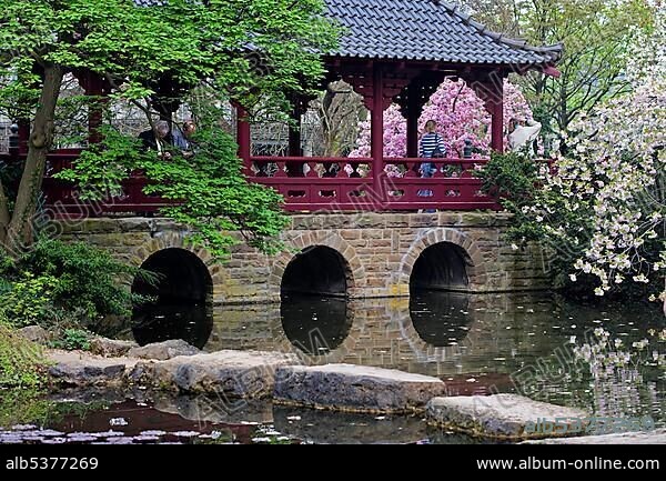 Japanese Garden of the Bayer AG, Leverkusen, North Rhine-Westphalia, Germany, Europe.