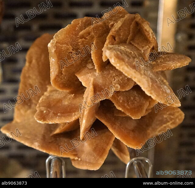 Desert rose formation of crystal clusters of gypsum or baryte which