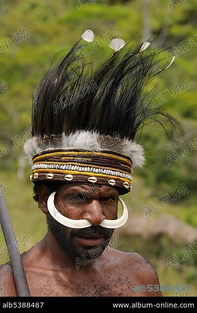 Dani warrior with boar's teeth and feather headdress, Yiwika, Baliem Valley, Irian Jaya, West Guinea, New Guinea, Indonesia, Southeast Asia, Asia.