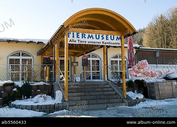 Animal Museum, Regenhütte, Bayerisch Eisenstein, Lower Bavaria, Bavaria, Germany, Europe.