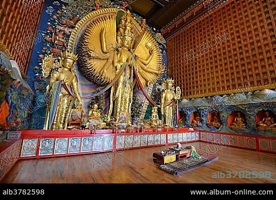Tibetan Buddhism, new large gilded Buddha statue, Avalokiteshvara with a thousand arms, Wutun Si Monastery, Tongren, Repkong, Qinghai, formerly Amdo, Tibet, China, Asia.