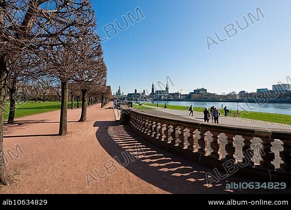 Dresden silhouette in spring. Numerous Japanese cherry trees blossom on the banks of the Neustädter Elbe in spring and invite you to take a walk with a view of Dresden's old town centre.