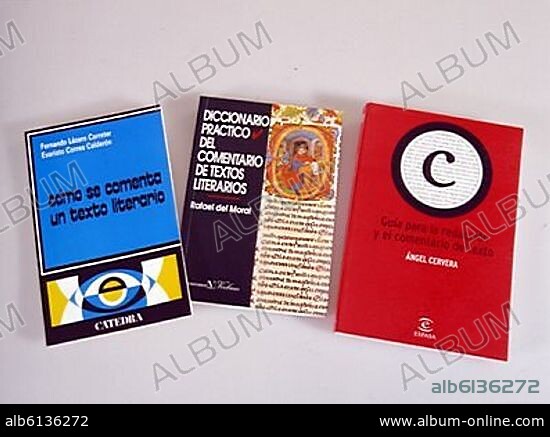 PORTADA LIBRO COMENTARIO DE TEXTO Y DICCIONARIO.