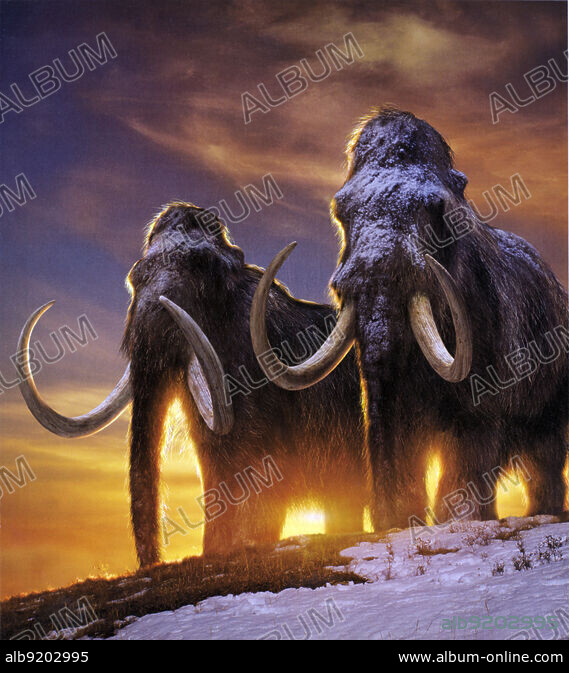 α版】ウォーマンモス war mammoth α版】ウォーマンモス war mammoth α