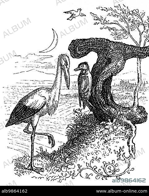 Fritz Reuter (1810) (1874) Low German writer and poet, Hanne Nüte un de lütte Pudel, Eine Vogel, und Menschengeschichte, Platt, Low German, dialect, language, poet, poem, literary figure, graphic, humour, satire, spring, Adebar, stork, crescent moon, fly, nature, tree, plant, talk, Hanne Nüte 16, North Germany, 19th century, historical illustration 1868.