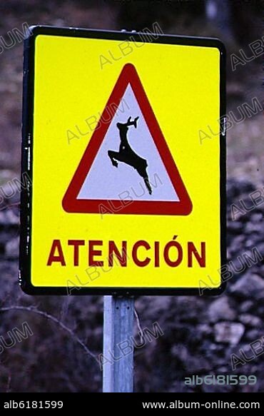 SEÑAL DE ATENCION - CIERVOS SUELTOS.