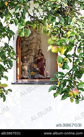 Wayside chapel, window, apple tree, Mondsee, Salzkammergut, Upper Austria, Austria, Europe.