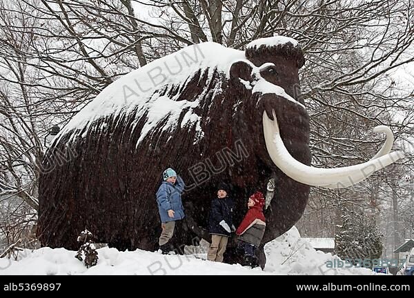 Siegsdorf in the Chiemgau Mammoth Museum Natur Museum Upper Bavaria Germany.