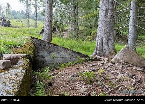 Remains of the ruins of Adolf Hitlers Tannenberg Führer headquarters on Kniebis; the site was blown up after the war; Black Forest; Baiersbronn; Baden-Württemberg; Germany; Europe.