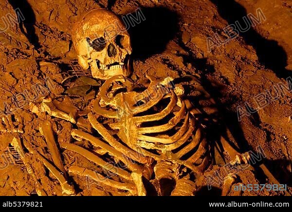 Skull and skeleton from the stone age, Cheddar Man Museum of Prehistory, Cheddar, Somerset, England, United Kingdom, Europe.