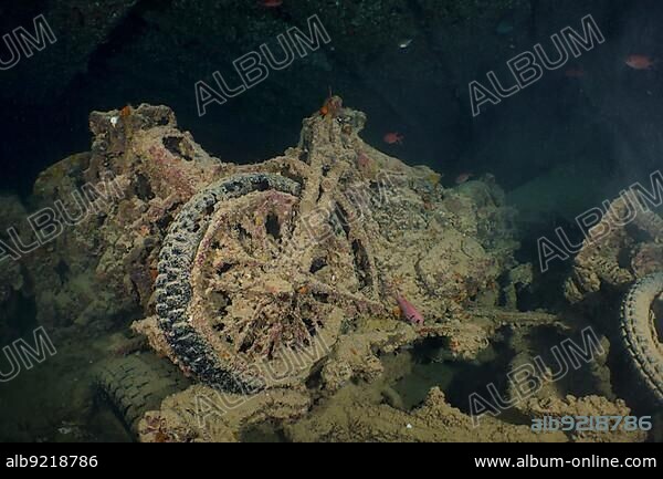 World War II motorbike in the hold of the Thistlegorm. Dive site Thistlegorm wreck, Sinai, Egypt, Red Sea, Africa.