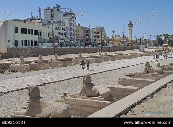 Sphinx Avenue between Karnak and Luxor Temple, Luxor, Egypt, Africa.