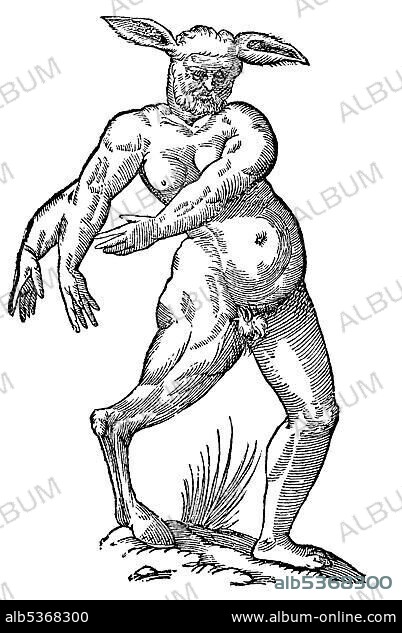 Woodcut, Centauri alia species, centaur, man/horse of a different kind, man with three arms, a right leg similar to that of a horse, two donkey's ears, Aldrovandi, Historia Monstrorum, 1642, Renaissance.