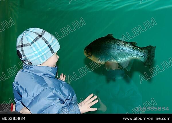 Bad Wiessee at the Tegernsee Uper Bavaria Germany Aquadome Sweetwater fish Aquarium.