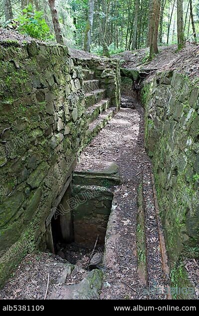 Trench, post from World War I, Le Linge, Alsace Vosges, France, Europe.