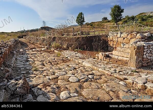 Cobblestone street with pavement and remnants of a house, archaeological site of the ancient Roman city of Norba, 4th Century BC, near Norma, Monti Lepini, Lepini Mountains, Lazio, Italy, Europe.
