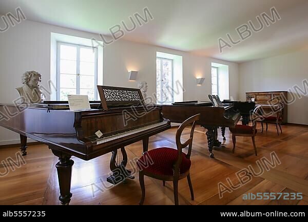 Stauffenberg Castle, Jehle Music History Collection, Grand Piano, Albstadt-Lautlingen, Baden-Württemberg, Germany, Europe.