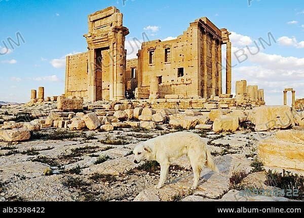 Temple of Baal Shamin in the ruins of the Palmyra archeological site, Tadmur, Syria, Asia.