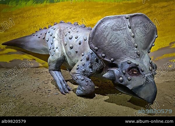 Reconstructed dinosaur; Mongolian Central Museum of Dinosaurs; Natural History Museum; Ulaanbaatar; Mongolia; Asia.