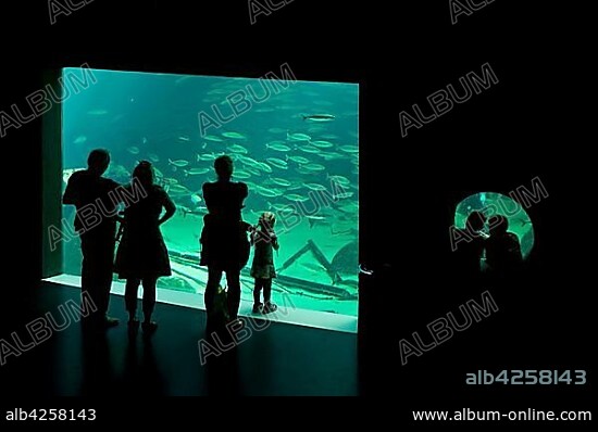 Visitors in front of a aquarium, Nordsøen Oceanarium, Hirtshals, North Jutland, Denmark, Europe.