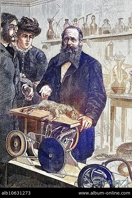 In the laboratory with J. Wickersheimer, 1832, 1896, chemist, taxidermist, development of a process for the preservation of corpses, around 1885, Historical, digitally restored reproduction from a 19th century original, In the laboratory with J. Wickersheimer, chemist, taxidermist, development of a process for the preservation of corpses, around 1885, Historical, digitally restored reproduction from a 19th century original.