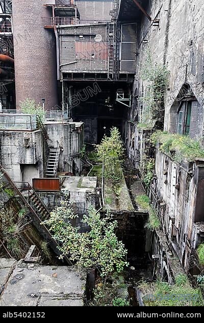 Overgrown coal bunkers of the disused ironworks Henrichshuette, industrial museum, Hattingen, NRW, Germany, Europe.