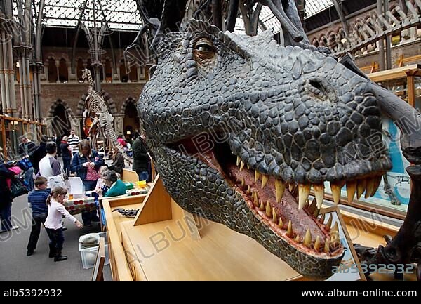 Oxford University Museum of Natural History, University of Oxford, Oxford, Oxfordshire, England, United Kingdom, Europe.